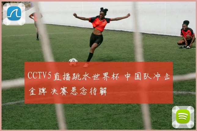 CCTV5直播跳水世界杯 中国队冲击金牌 决赛悬念待解