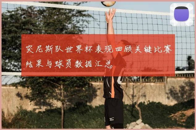 突尼斯队世界杯表现回顾关键比赛结果与球员数据汇总